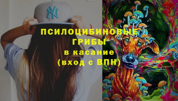 молекула духа Алексин