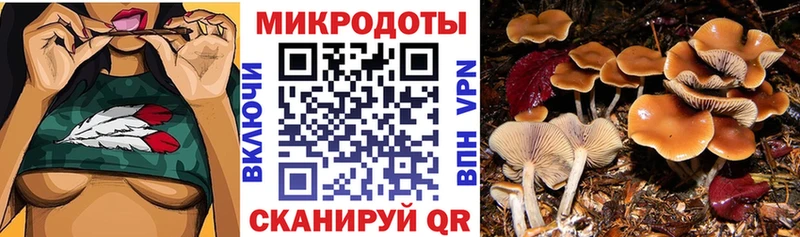Галлюциногенные грибы мицелий  Миньяр 